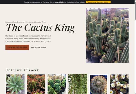 The Cactus King redesign