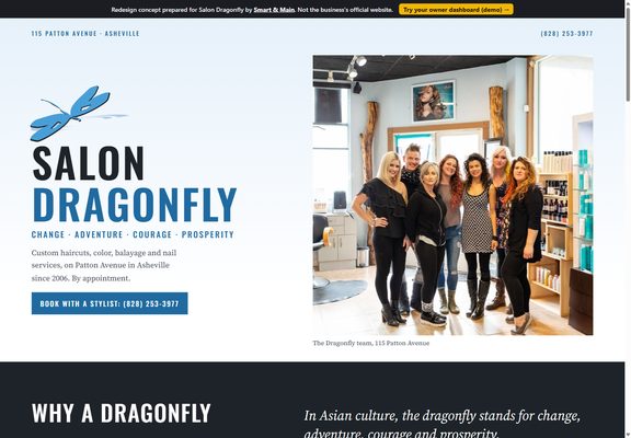 Salon Dragonfly redesign